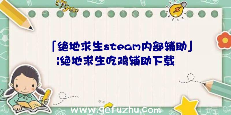 「绝地求生steam内部辅助」|绝地求生吃鸡辅助下载